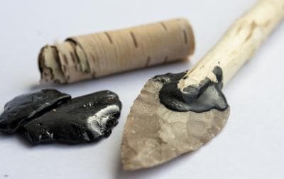 Yara bantlarını bir kenara bırakın, Neandertallerin antiseptik huş ağacı katranı vardı