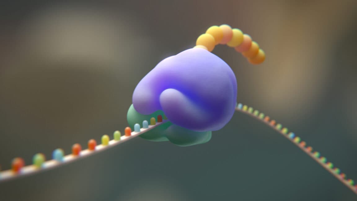 Araştırmacılar genetik kodu 20 ila 19 amino asitten kesmeye çalışıyor