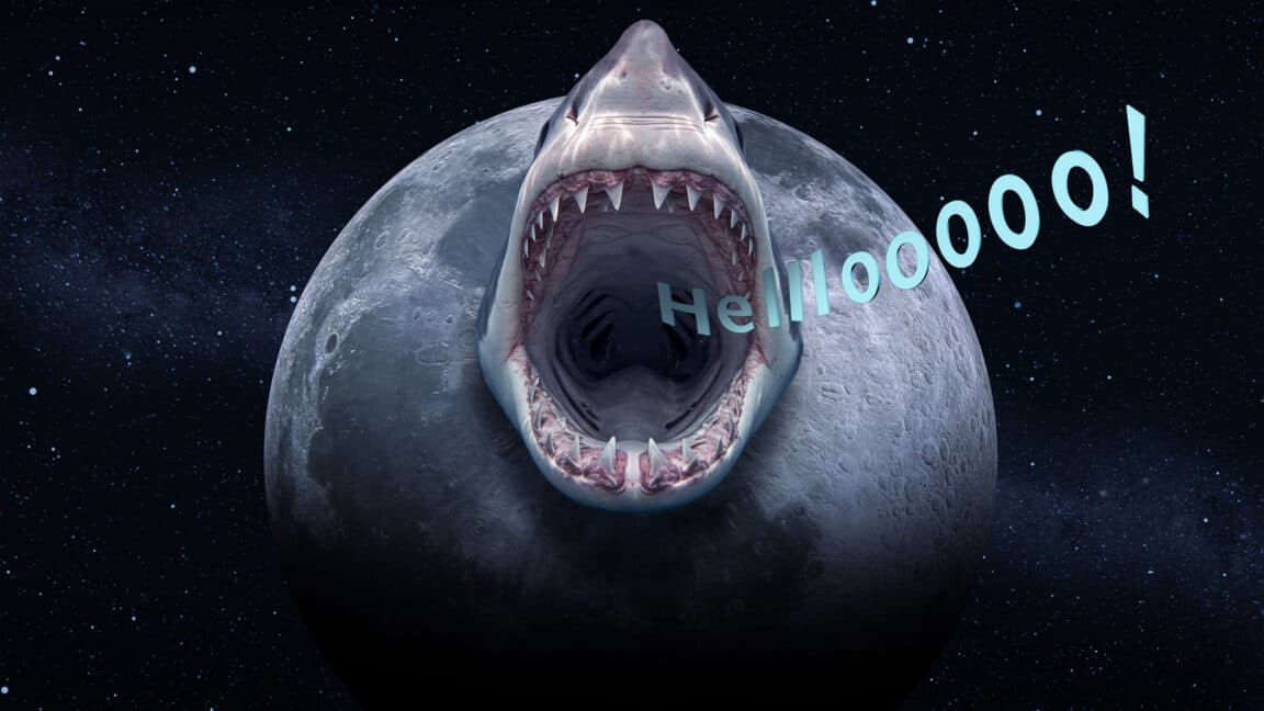 Editör Moonshark'ın Artemis II hakkında bir sözü