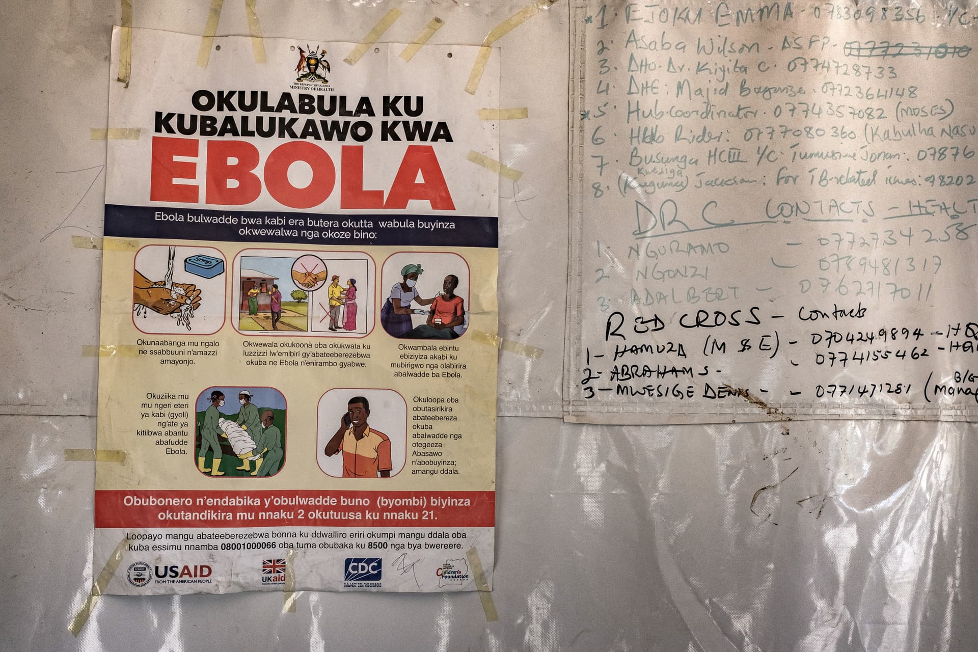 Ebola salgını: DSÖ acil durum ilan etti, ABD seyahati kısıtladı, Amerikalılar enfekte oldu