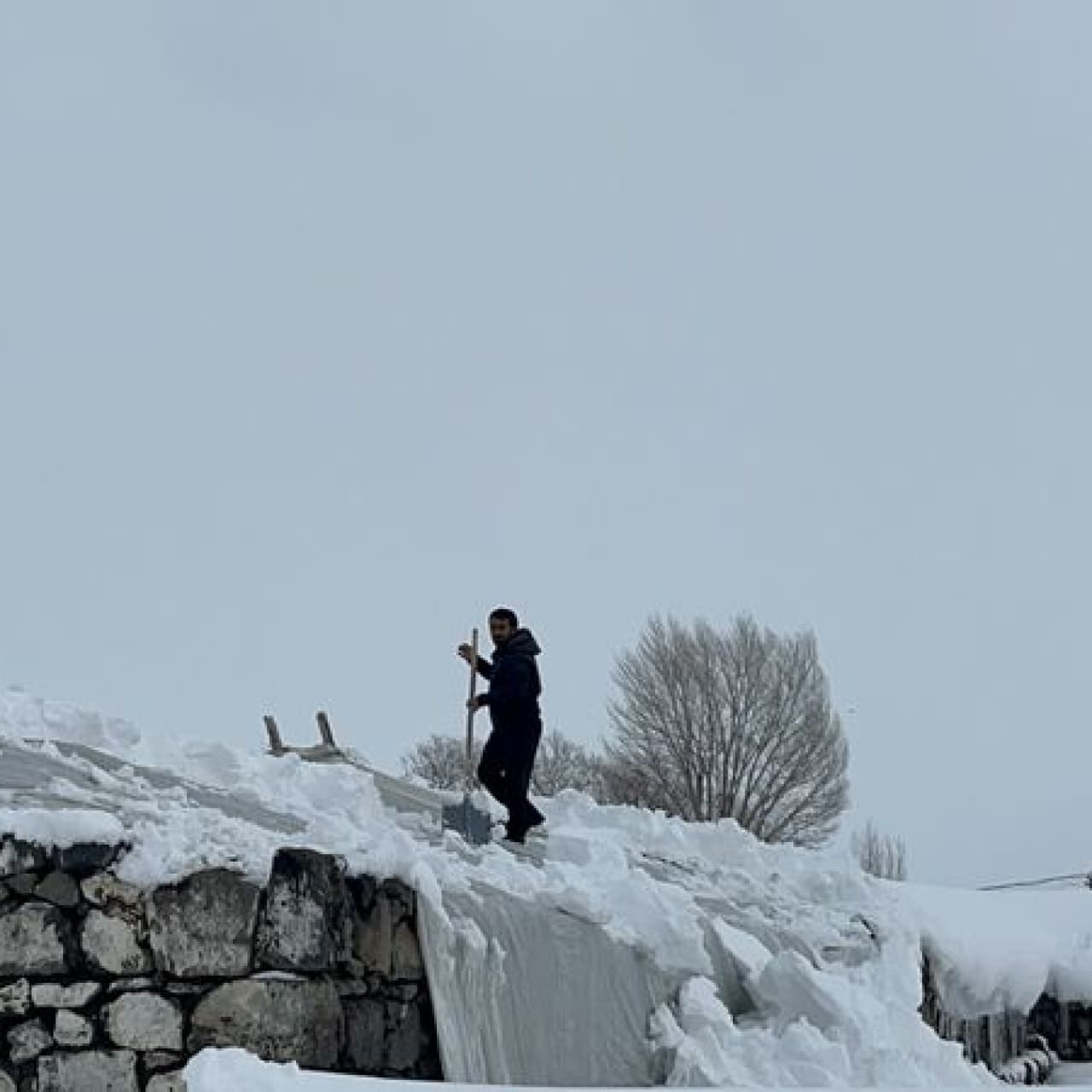 Kars'ta ahır ve ağıllarda kar mesaisi