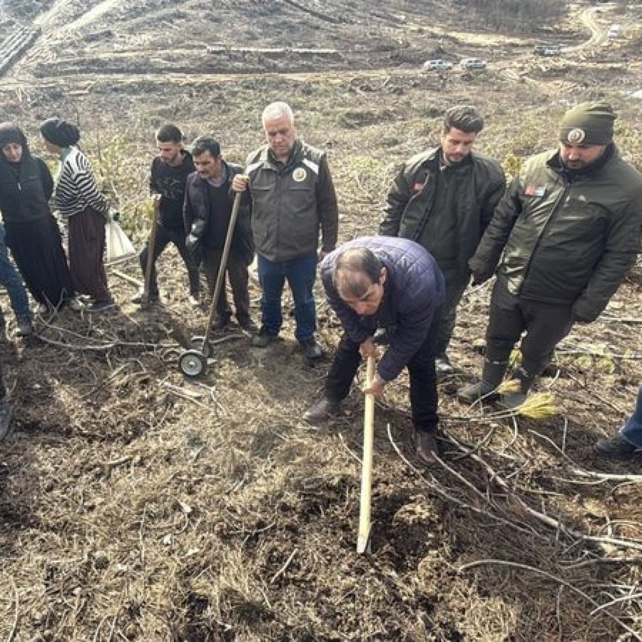 Seyitgazi'deki yanan alanda ağaçlandırma başladı