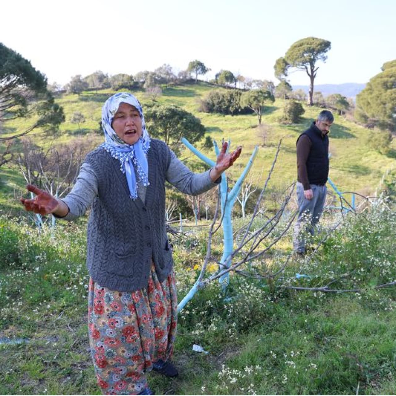 Üreticiyi ağlatan akılalmaz olay!