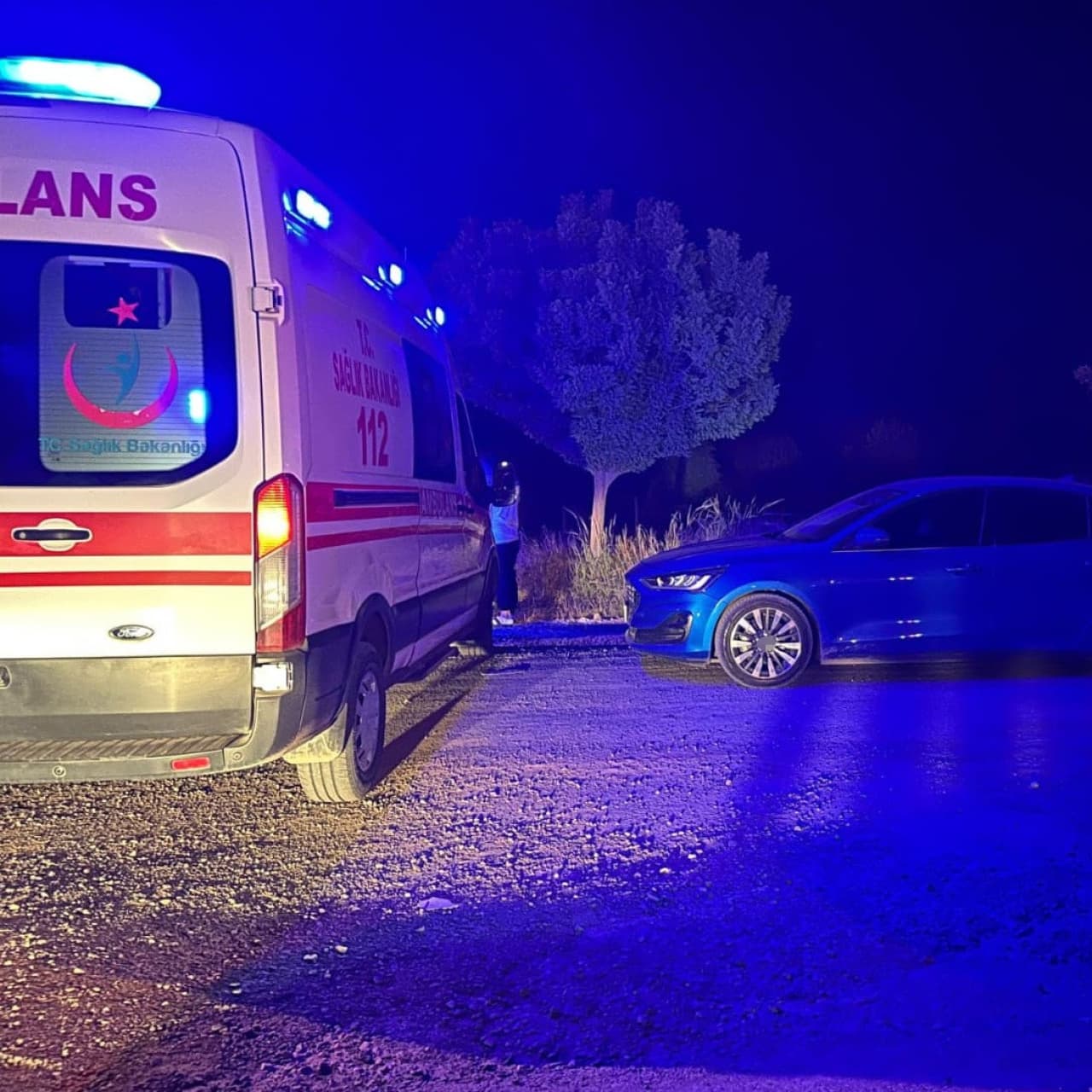 Çiftçi tarlada ölü bulundu