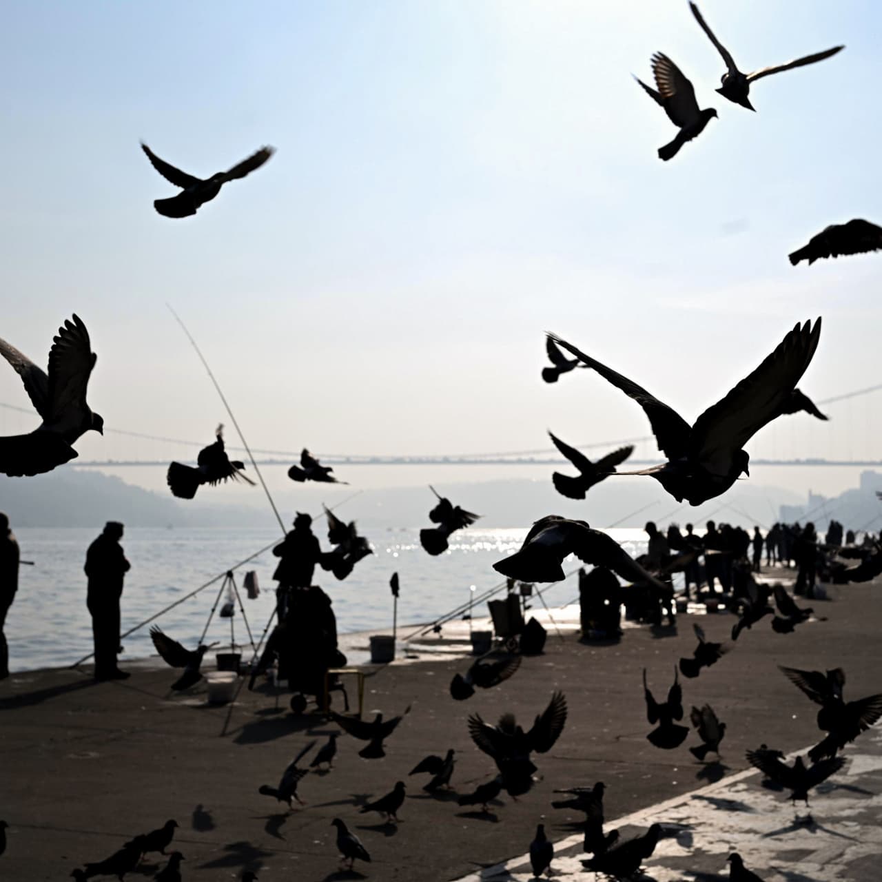 İstanbul'da ilkbahar, birçok ilde yağış olacak