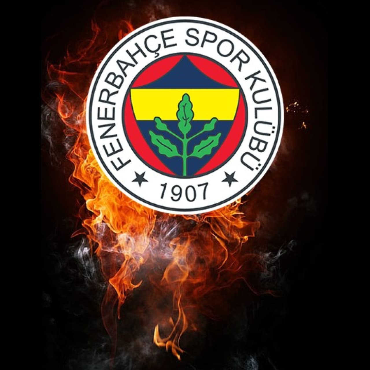 Fenerbahçe Medicana'da bir ayrılık daha!
