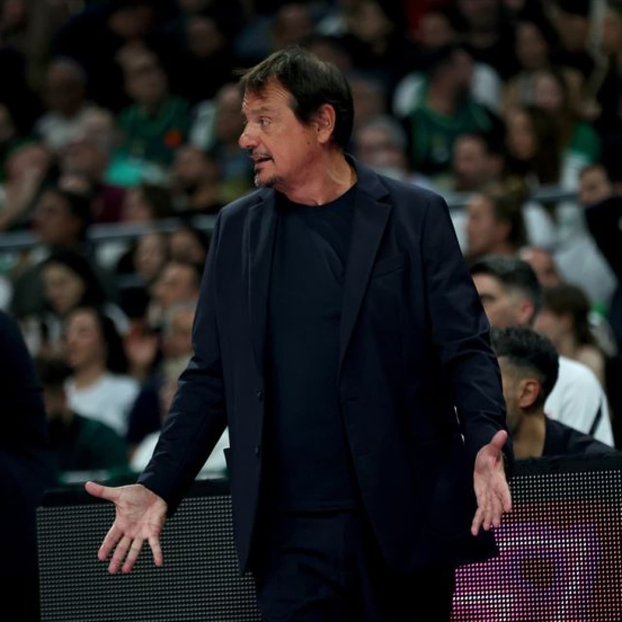 Ataman çıldırdı: Yumruklu kavga!