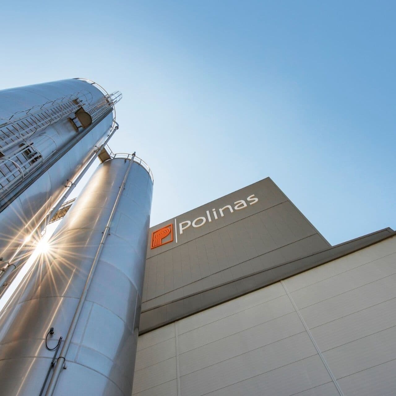 Polinas, SA 8000 belgesi aldı