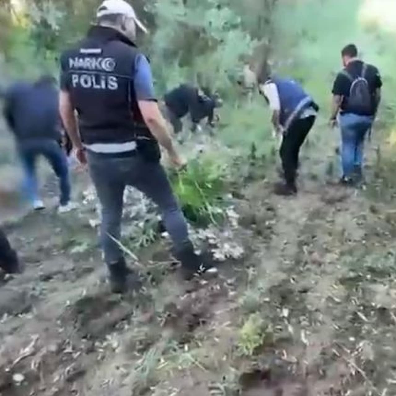 UNESCO Dünya Mirası Listesi'nde... Hevsel Bahçeleri'nde uyuşturucu!