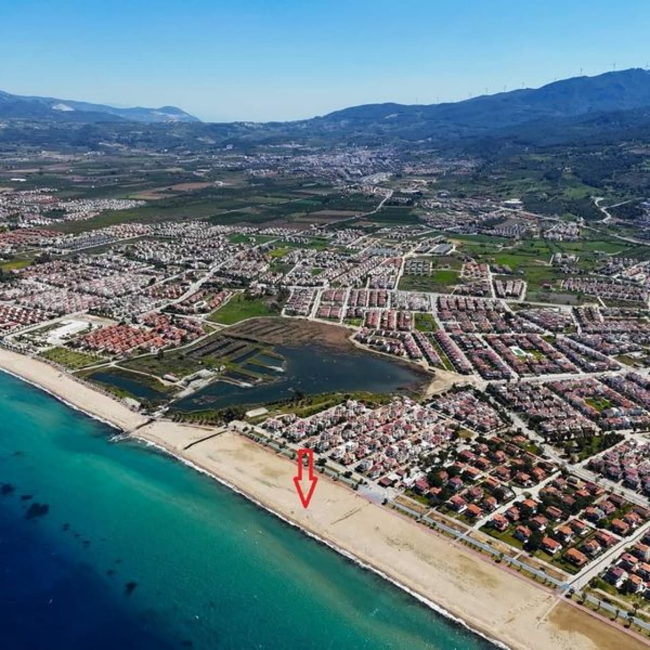 Kuşadası'nda ilk yuva tespit edildi