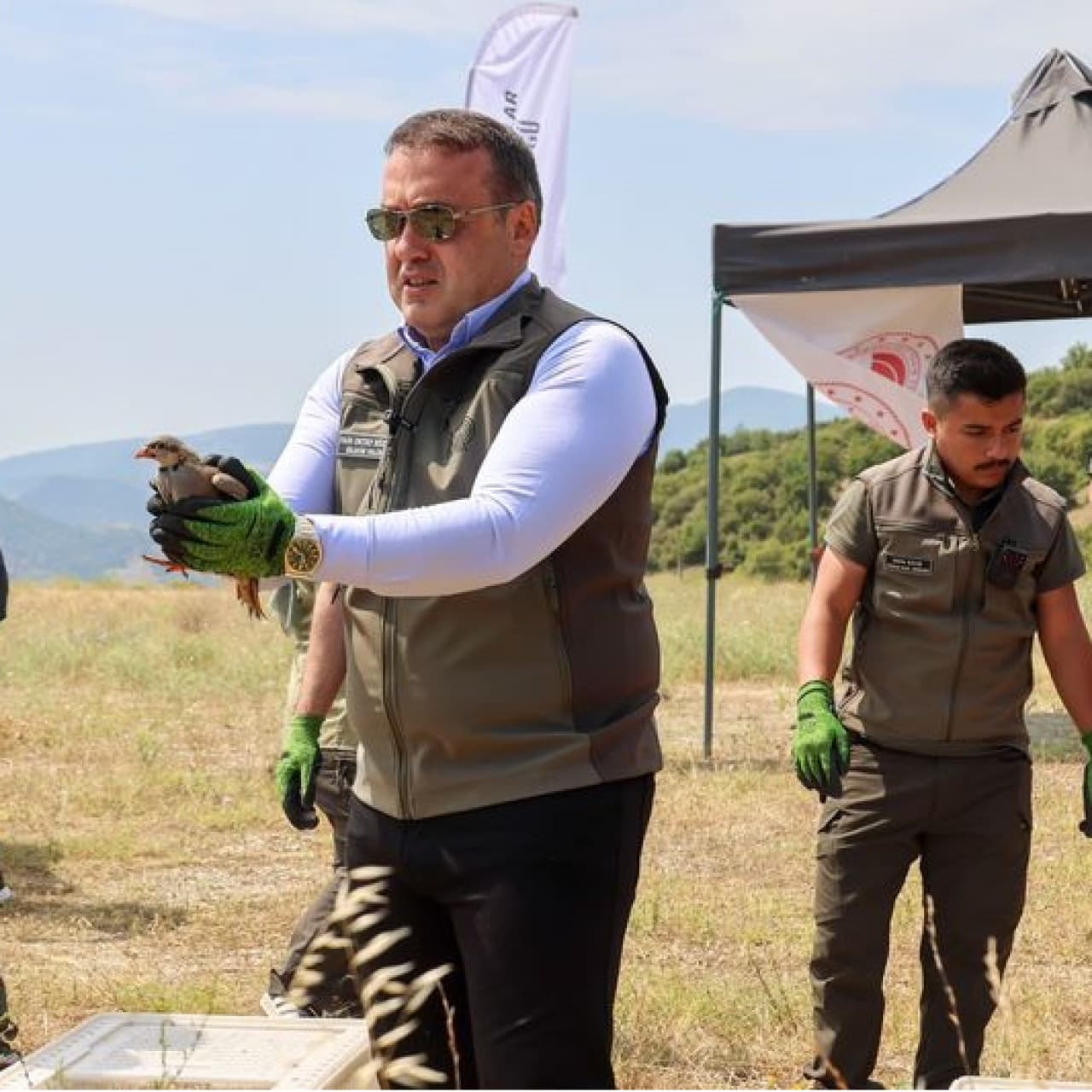 Bilecik'te doğaya kınalı keklik salındı