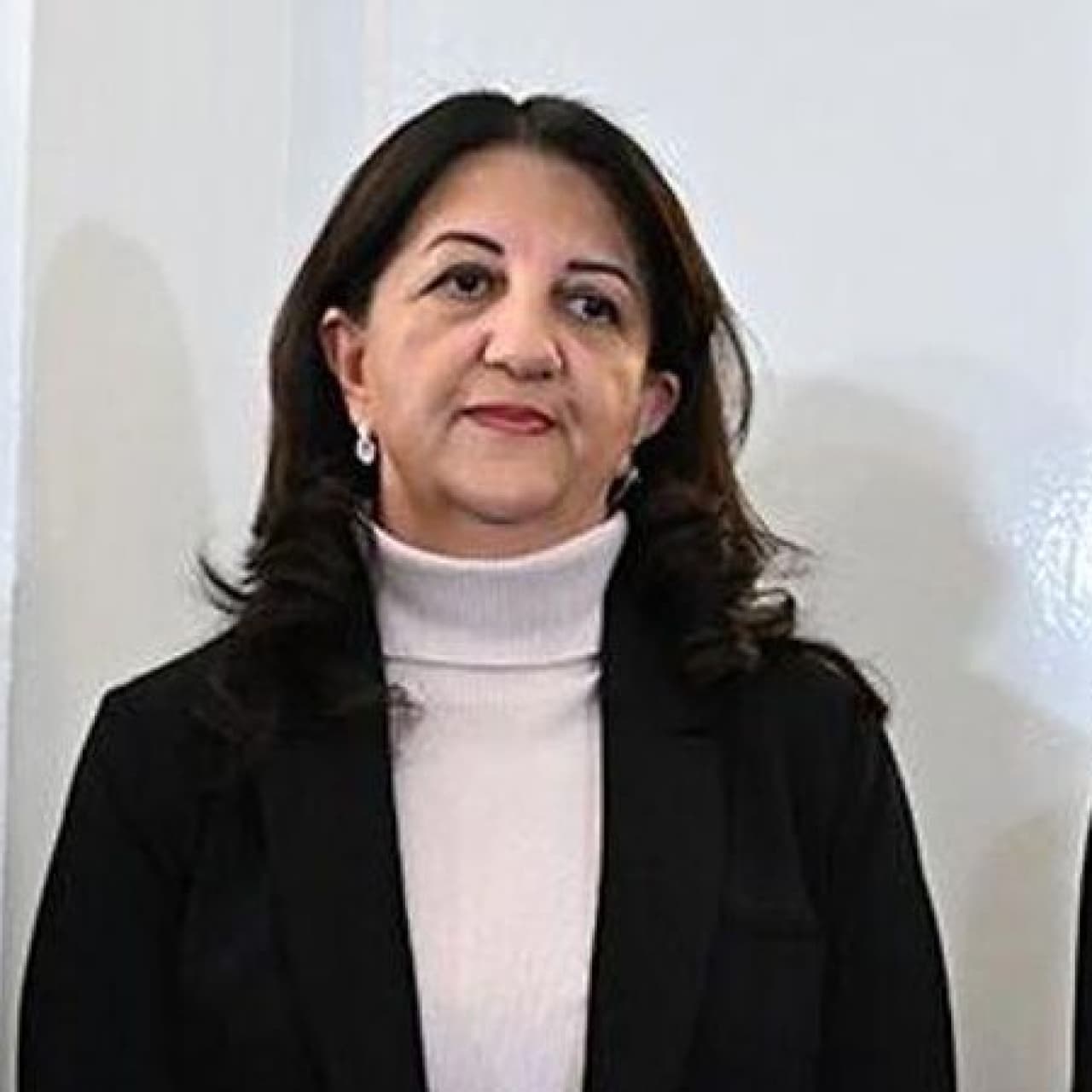 Terörsüz Türkiye temasları