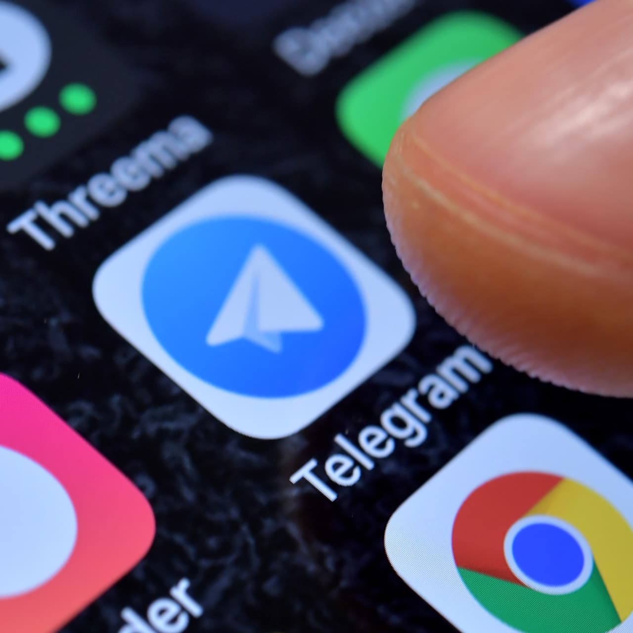 Avcı Telegram'da avladı! 