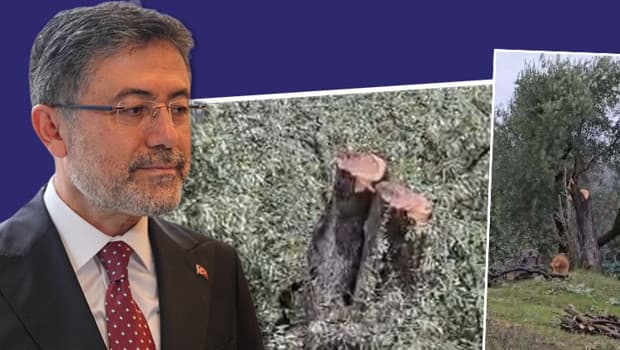 Bakan Yumaklı'dan CHP'lilere 'ağaç' tepkisi
