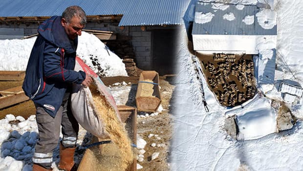 Doğup büyüdüğü mahallesine döndü: 4 yılda hayatı değişti! 'Tüm zorluklara rağmen seviyorum'