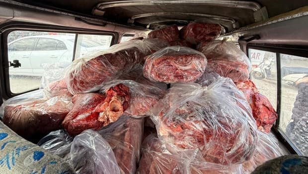 Gaziantep'te mide bulandıran görüntü! 1,6 ton sakatat imha edildi