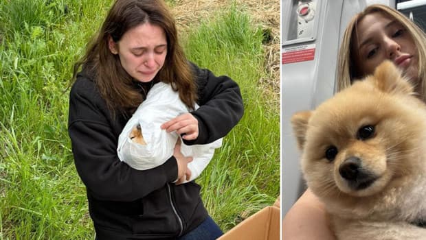 'Petshopta yıkanan köpeğin ihmalden öldüğü' iddiası! 'İki kere ip takılıyor, baskı uygulanıyor'