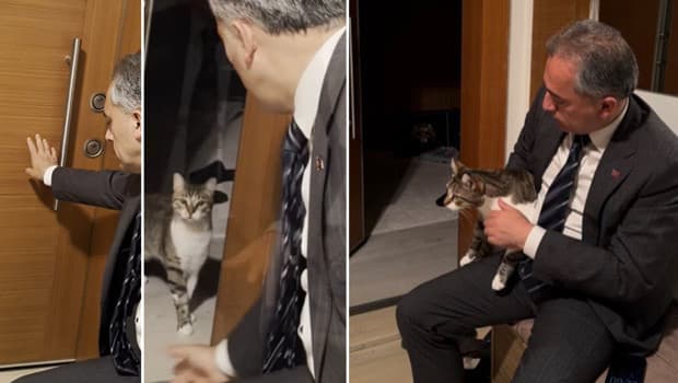 Evin anahtarını unuttu, kapıyı 'Fred' açtı! 'Kediniz varsa anahtara ihtiyaç yok'