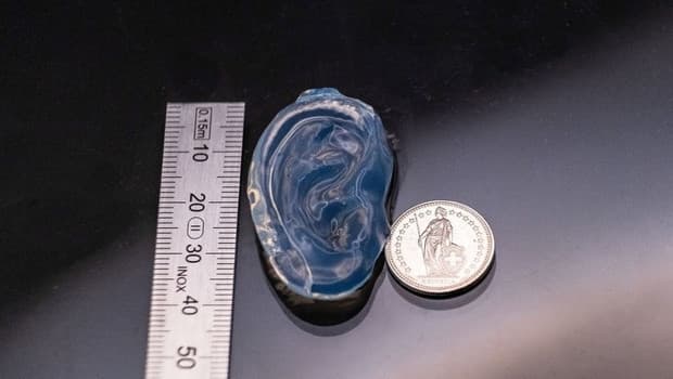 3D yazıcılarda yapay organ devrimi