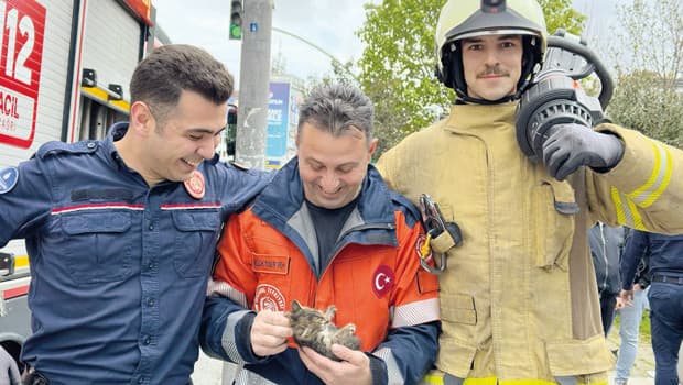İstanbul İtfaiyesi’nden yavru kedi operasyonu