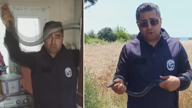 'Yılancı Kemal' eve giren yılanı eliyle yakaladı