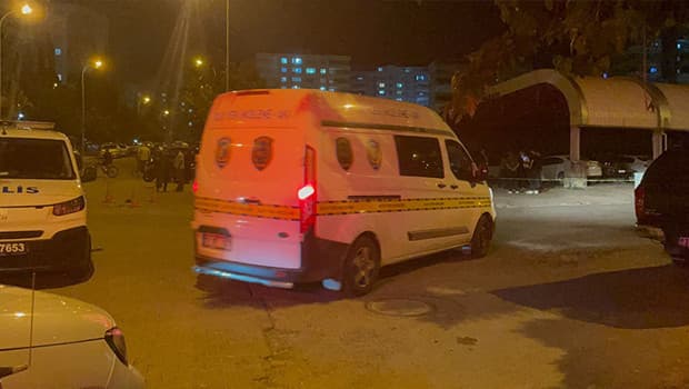 Şanlıurfa'da kavgayı ayırmaya çalışan annesinin ölümüne neden oldu