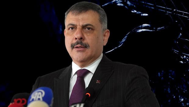 Bu illerde yüzde 100'ü toplandı | Bakan Çiftçi tarih verdi: Sokak hayvanı sorunu bitecek