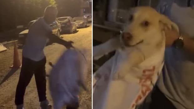 Hatay'da köpeği çuvala koyularak götürülmek istenen köpeği, hayvansever kadın kurtardı
