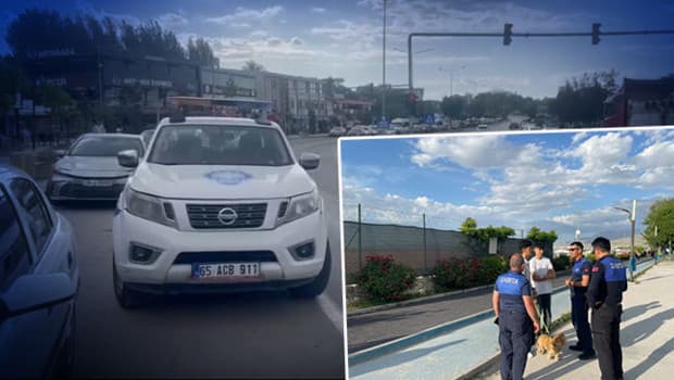 7 mahalle karantinaya alındı: Bölgede kuduz alarmı
