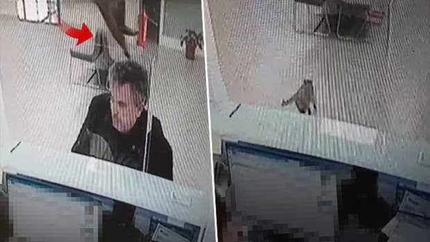 Bankada işlem yaparken hayatının şokunu yaşadı: 'Millete gökten para düşer bizim nasibimize kedi düştü'