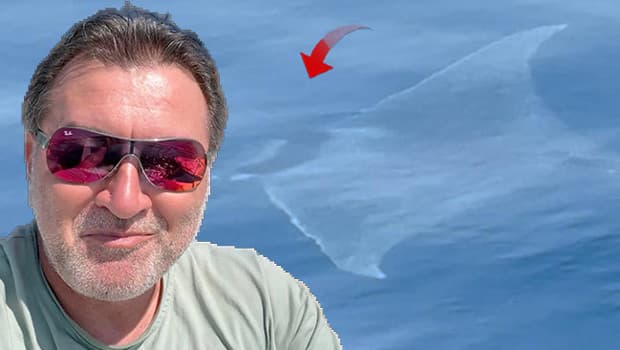 Çanakkale'de 2 metre uzunluğunda şeytan mantası görüldü: 'Biz onu izledik, o bizi izledi'