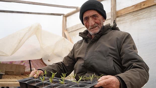 Bayburtlu çiftçi ata tohumlarını yaşatmak için ücretsiz fide dağıtıyor