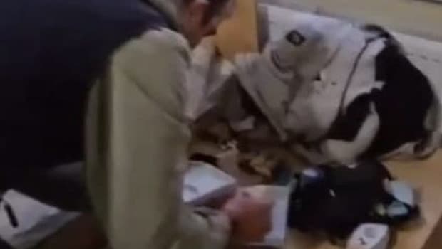 Sahte oto yedek parça ilanıyla dolandırıcılık yapanlara 14 ilde operasyon: 13 tutuklama