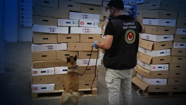 Kapıkule Gümrük Kapısı'nda operasyon: 1 ton 153 kilogram uyuşturucu ele geçirildi