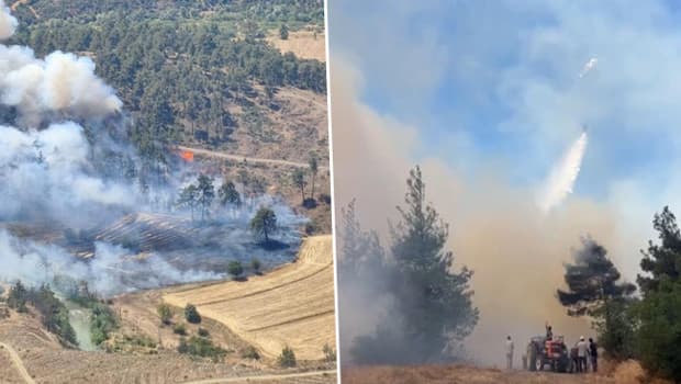 Bursa'da otluk alanda çıkan yangın ormana sıçradı: Soğutma çalışmaları sürüyor