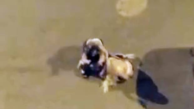 Iğdır’da alkollü kadınlar kadınlar saç saça kavga etti