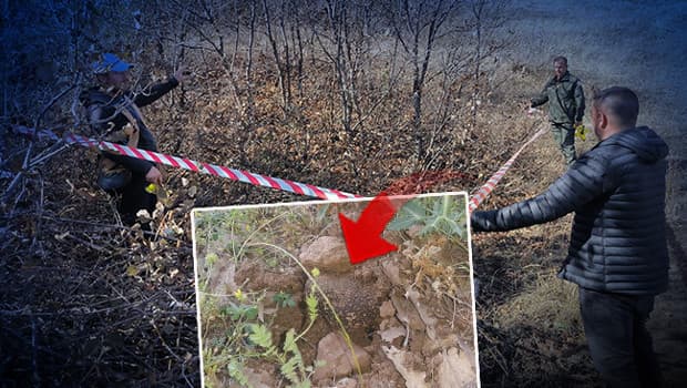 Erzurum ve Erzincan'ın ilçelerinde yer altından 'kara elmas' çıktı: Kilogram fiyatı 750 avro