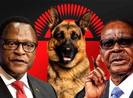 4 köpek için 80 polis! 'Kara büyü' ülkeyi karıştırdı: İki başkan, tek çıkmaz