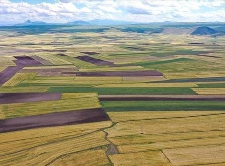 Arsa ve tarla satışları 2025'te 1,6 milyonu aştı