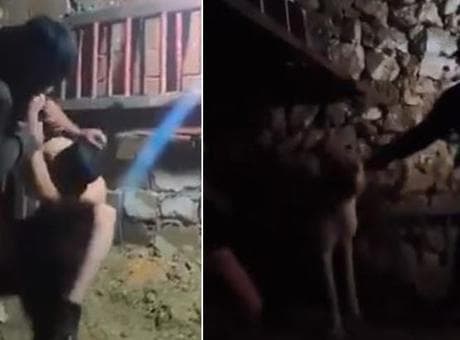 Mardin'de ahırda çocuğa işkence! Anne isyan etti