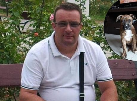52 yaşındaki adam 3 köpeği tarafından yendi! İtalya'da dehşet veren olay