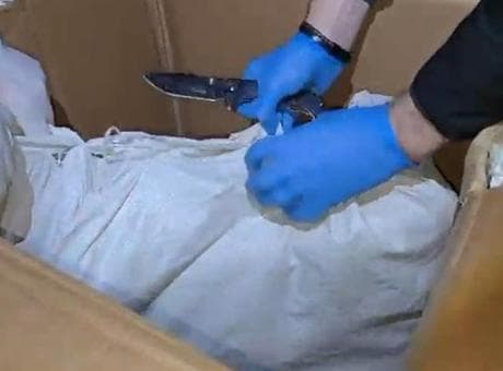 Hatay'da 11 kilo 200 gram skunk ele geçirildi! 1 kişi tutuklandı