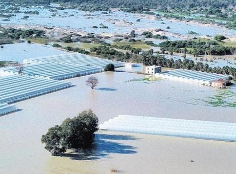 Buğday, arpa, kışlık sebzeler zarar gördü: Sağanak, tarım alanlarını vurdu
