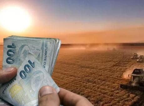 Tarım ve Orman Bakanlığı duyurdu: 129 milyon liralık destek bugün hesaplarda