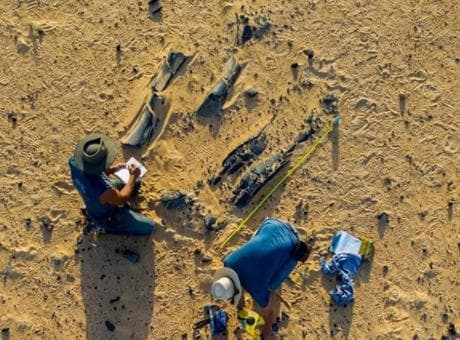 Kafasında 30 santimetrelik gizem! 100 yıl sonra bulunan tür heyecanlandırdı