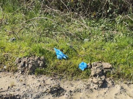 İstanbul’da dehşet! Çinli iş insanının cesedi, elleri ve ayakları bağlı toprağa gömülü bulundu