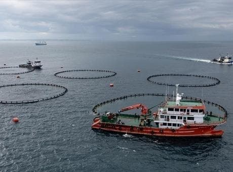 Karadeniz'in su ürünleri ihracat geliri 28 milyon doları aştı