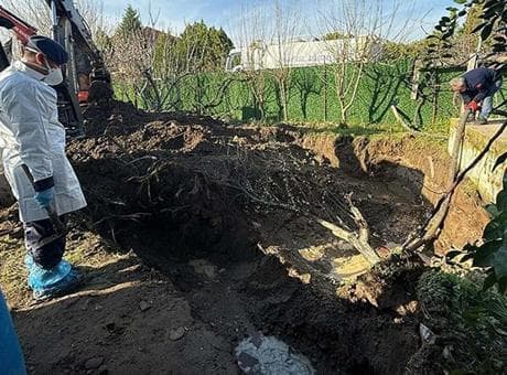 17 yıldır kayıp olan genç kızla ilgili korkunç gerçek! Eski enişte itiraf etti, ablası da gözaltında