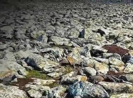 Şanlıurfa'da dev operasyon! Taşların altından cephanelik çıktı; işte ele geçirilenlerin listesi