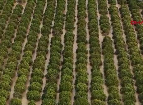 Antalya'da sel felaketinin faturası 3 milyar TL
